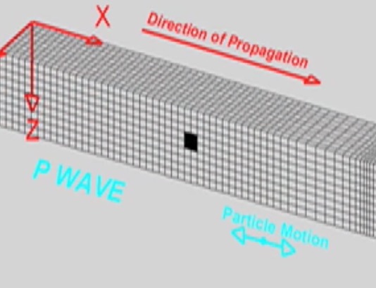 p waves s waves and movement
